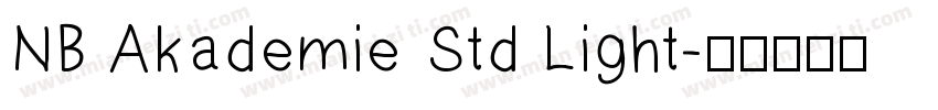 NB Akademie Std Light字体转换